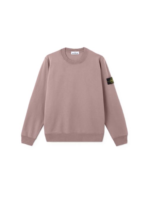 Stone Island Felpa girocollo in cotone biologico con maniche raglan Stone Island | L1S156100060S0051V008F
